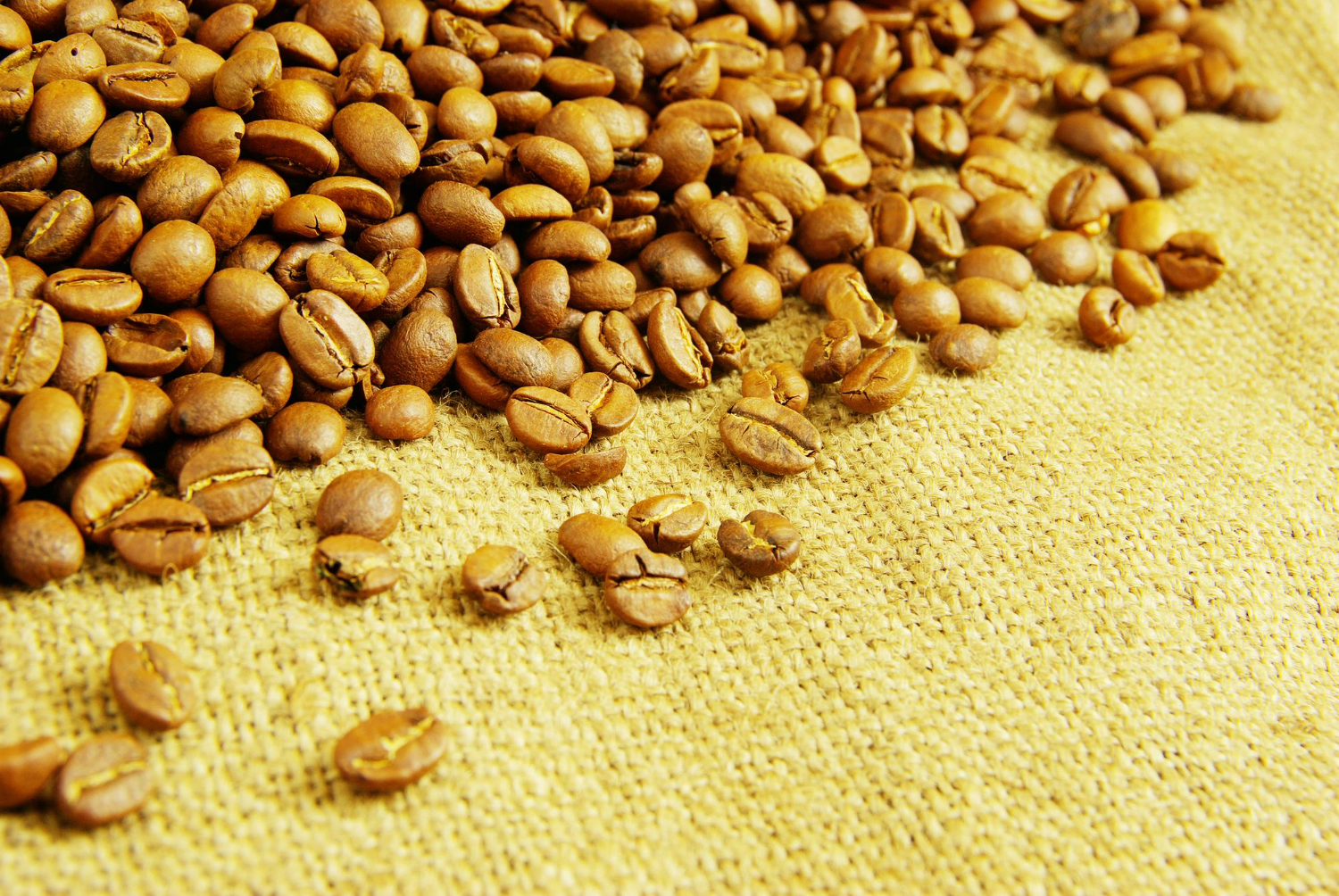 KLASIFIKASI WARNA PADA KEMATANGAN BUAH KOPI KUNING MENGGUNAKAN METODE CNN INCEPTION V3 - Institut Teknologi Nasional Bandung